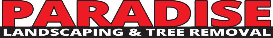 paradise logo lg